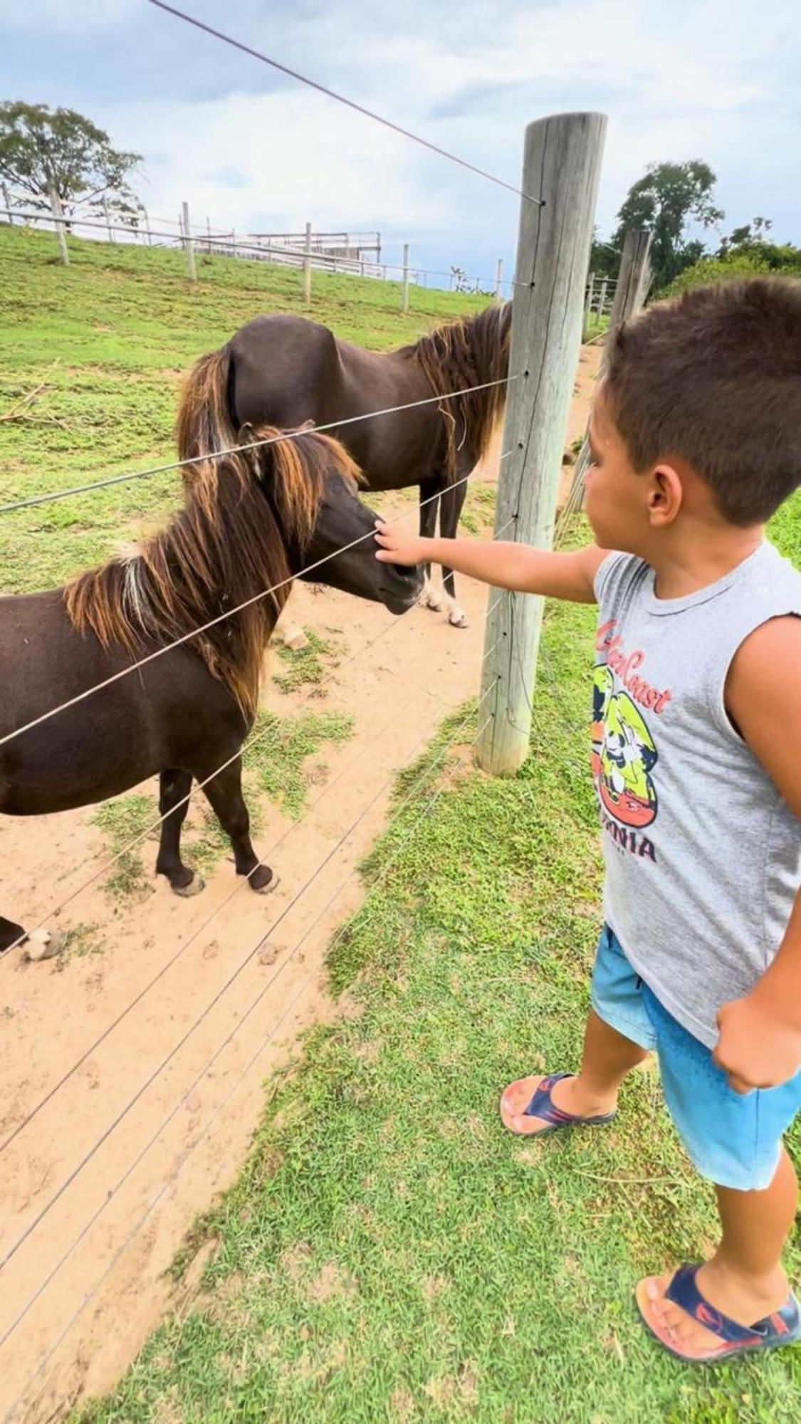 Hotel Fazenda Ararita Pôrto Feliz エクステリア 写真